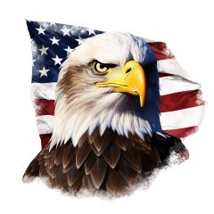 My Bid for President